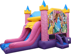 Disney Princess Deluxe Combo Slide