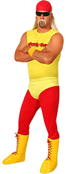 Hulk Hogan Character