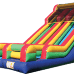 22ft Dual Lane Slide