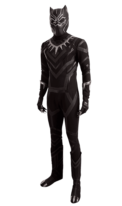 Black Panther Character