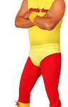 Hulk Hogan character