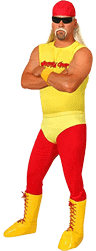 Hulk Hogan character