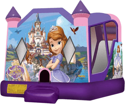 Sofia the First Bounce House with a slide
