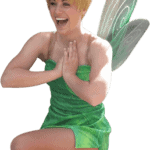Tinkerbell Princess