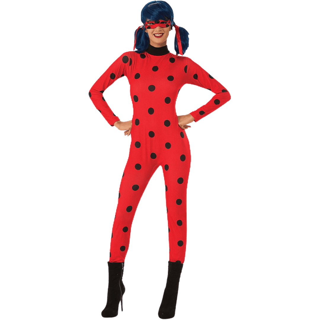 Miraculous Ladybug character
